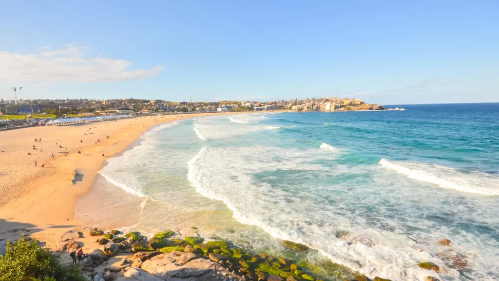 bondi beach