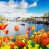Cestovní průvodce Amsterdamem