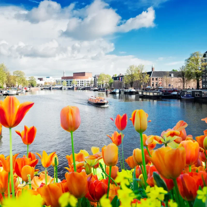 Cestovní průvodce Amsterdamem